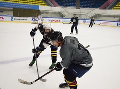 «Волки»- «Kings» 3:1. Сезон АЛХЛ 2016-2017