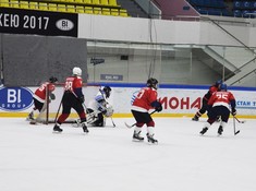 «Волки» - «Sunkar» 6:0. 1/8 финала АЛХЛ 2016-2017