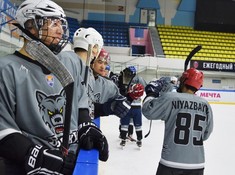 «Волки» - «Sunkar» 6:0. 1/8 финала АЛХЛ 2016-2017