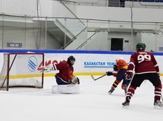 «Tigers» -«СССР» 0:5. 1/8 финала АЛХЛ 2016-2017