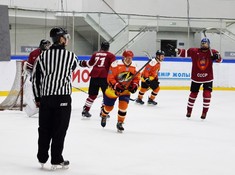 «Tigers» -«СССР» 0:5. 1/8 финала АЛХЛ 2016-2017