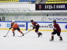 «Tigers» -«СССР» 0:5. 1/8 финала АЛХЛ 2016-2017