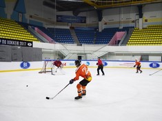«Tigers» -«СССР» 0:5. 1/8 финала АЛХЛ 2016-2017