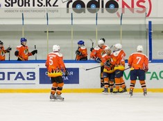 Сезон 2016-2017. 1 тур. «Tigers» - «Kings» 3:0