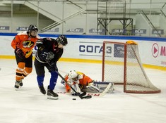 Сезон 2016-2017. 1 тур. «Tigers» - «Kings» 3:0