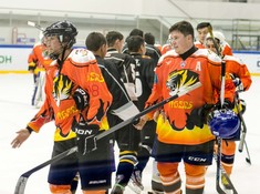 Сезон 2016-2017. 1 тур. «Tigers» - «Kings» 3:0