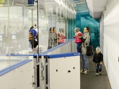 Сезон 2016-2017. 1 тур. «Tigers» - «Kings» 3:0