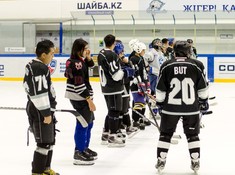 Сезон 2016-2017. 1 тур. «Tigers» - «Kings» 3:0