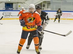 Сезон 2016-2017. 1 тур. «Tigers» - «Kings» 3:0