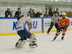 Сезон 2016-2017. 1 тур. «Tigers» - «Kings» 3:0