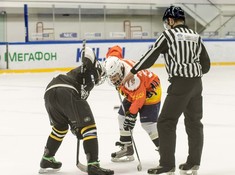 Сезон 2016-2017. 1 тур. «Tigers» - «Kings» 3:0