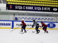 «Волки» - «СССР» 2:1. 1/4 финала АЛХЛ 2016-2017