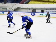 «Волки» - «BI Group» 3:2. 1/2 финала АЛХЛ 2016-2017