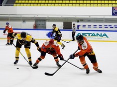 «Tarlan» - «Tigers» 1:4. Кубок Надежды АЛХЛ 2016-2017