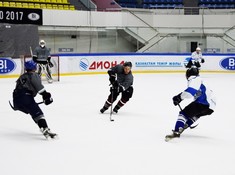 «Волки» - «BI Group» 1:2. 1/2 финала АЛХЛ 2016-2017