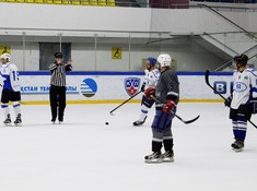 «Волки» - «BI Group» 1:2. 1/2 финала АЛХЛ 2016-2017