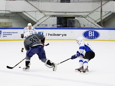 «Волки» - «BI Group» 1:2. 1/2 финала АЛХЛ 2016-2017