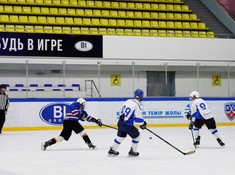 «Волки» - «BI Group» 1:2. 1/2 финала АЛХЛ 2016-2017