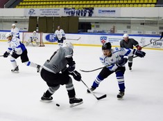 «Волки» - «BI Group» 1:2. 1/2 финала АЛХЛ 2016-2017