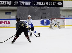 «Волки» - «BI Group» 1:2. 1/2 финала АЛХЛ 2016-2017