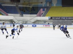 «Волки» - «BI Group» 1:2. 1/2 финала АЛХЛ 2016-2017