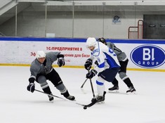 «Волки» - «BI Group» 1:2. 1/2 финала АЛХЛ 2016-2017