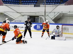 «Tigers» - «Kings» 5:0. Кубок Надежды АЛХЛ 2016-2017