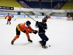 «Tigers» - «Kings» 5:0. Кубок Надежды АЛХЛ 2016-2017