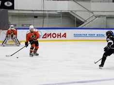 «Tigers» - «Kings» 5:0. Кубок Надежды АЛХЛ 2016-2017