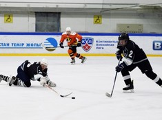 «Tigers» - «Kings» 5:0. Кубок Надежды АЛХЛ 2016-2017