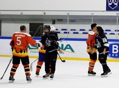 «Tigers» - «Kings» 5:0. Кубок Надежды АЛХЛ 2016-2017