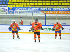 «Tigers» - «Kings» 5:0. Кубок Надежды АЛХЛ 2016-2017