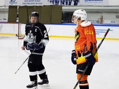 «Tigers» - «Kings» 5:0. Кубок Надежды АЛХЛ 2016-2017