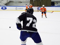 «Tigers» - «Kings» 5:0. Кубок Надежды АЛХЛ 2016-2017