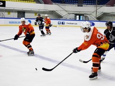 «Tigers» - «Kings» 5:0. Кубок Надежды АЛХЛ 2016-2017