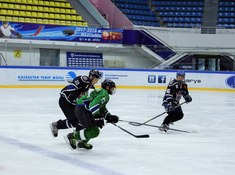 «Родина» - «Joker» 2:3. Сезон АЛХЛ 2017-2018